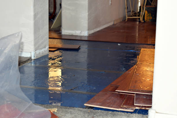Professional Storm Water Damage Restoration technician working in Henrietta, TX
